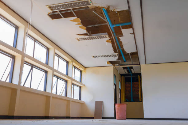 Best Water damage cleanup near me  in Pleasant Hill, OH
