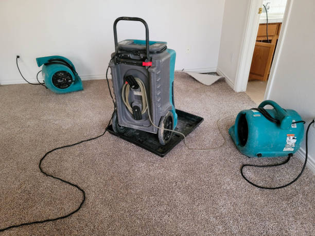 Best Water damage restoration near me  in Pleasant Hill, OH