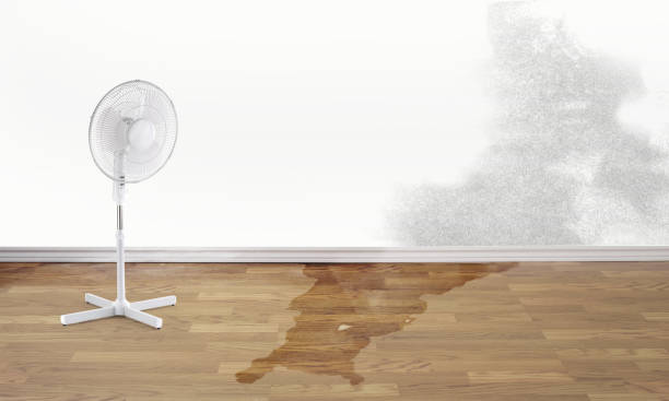 Best Carpet water damage restoration  in Pleasant Hill, OH