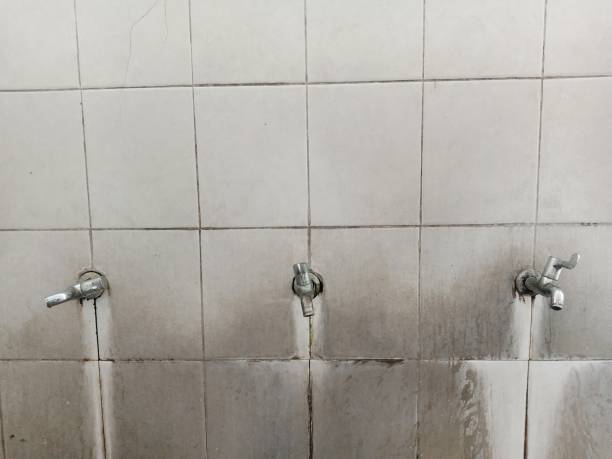 Best Flood damage cleanup  in Pleasant Hill, OH