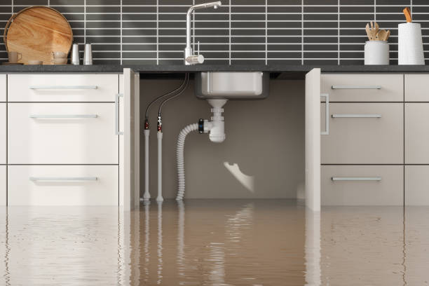 Best Emergency water extraction  in Pleasant Hill, OH